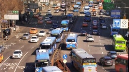 [한라포커스] 대중교통 우선차로제 어떻게 진행되고 있나 