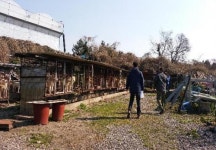 제주시 개사육  농가 일제점검