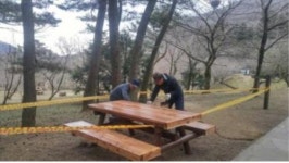 제주시 절물자연휴양림 정비