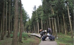  제주시 절물자연휴양림 단장 분주