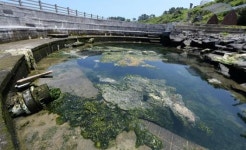 주민참여예산인데… 썩어버린 용천수