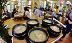 복날엔 역시 삼계탕