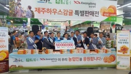 맛좋은 제주 하우스감귤 싸게 구입하세요