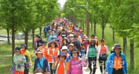 치매안심센터·요양병원 확충 집중치료