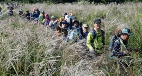 [2017 제주섬 글로벌 에코투어](13)북오름 앞~숲길~목장길~곶자왈~목장길~전세미못~웃바매기오름~곶자왈~목장길~숲길~농로길~웃못연못