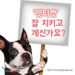 [카드뉴스 / JDC와 함께하는 글로벌 에티켓 캠페인] (7)펫티켓 잘 지키고 계신가요?