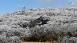 겨울이 찾아온 제주 한라산 1100고지