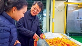 (주)제주오렌지… 농가·기업성장 아름다운 ‘상생’