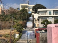 정방동 주민센터 입구 계단 포토존 새단장
