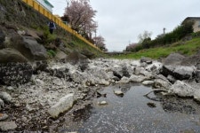 곰팡이 핀 것처럼…하얗게 변해버린 제주 병문천 
