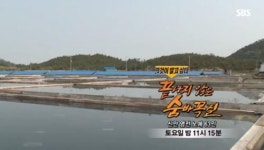 그것이 알고 싶다 신안 염전 노예, 6살에 납치돼 44년 동안 노역…나도 좋고 너도 좋지