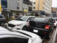 도로변 무인단속 피해 숨어든 곳이...