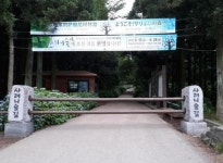 사려니·머체왓·호근산책로 숲길 정비