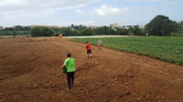 대천동주민자치위, 초록농장 메밀 파종