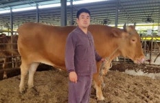 제주서 역대급 슈퍼 한우 탄생… 체중 1.23t