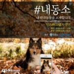 한국동물산업교육원, 제 1회 사진공모전 ‘#내동소, 내 반려동물을 소개합니다’ 개최