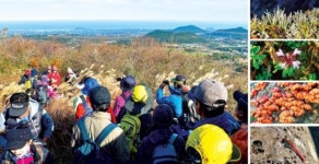 [2018 제주섬 글로벌 에코투어] (13)번영로~교래리 미래로~대천이오름~민오름~골체오름~부대오름~부소오름 둘레길~천미천~목장길~선교로