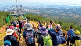 [2018 제주섬 글로벌 에코투어] (12)서귀포 산록도로~서홍동 추억의 숲길~철탑길~동홍천~한라산둘레길~서귀포야영수련장~미악산~미악산 주차장
