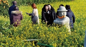 유채밭에서 제주여행 추억 남기기