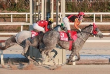 제주 태명목장, 2018 경주마 생산목장 최우수