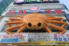 동명항 인근에 위치한 속초·고성 맛집 ‘비치대게직판장’