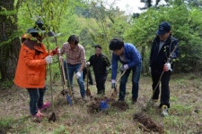 [2020 제주 세계환경수도 가는 길] (2) 세계환경수도 3개 분야·8개 추진 전략 어떻게