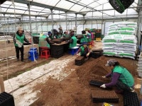 [동네방네]우리동네 꽃길 가꾸기 부녀회가 앞장