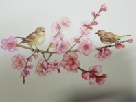세밀화로 그려낸 제주의 사계절 꽃