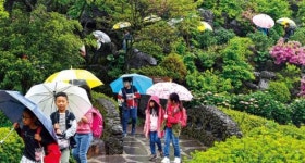 봄비로 더욱 싱그러운 탐방로