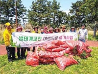 제주생태문화해설사협회 IUCN숲 정비