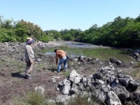 남원읍 한남리 모세납못 훼손 됐다.