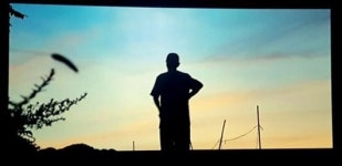 [제주, 제주인의 건강보고서 Ⅷ 건강다이어리] (12)치매와 뇌건강