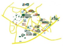 [휴플러스] 곶자왈 품은 열린 미술관… 찬찬히 걸으면 더 좋은 곳 