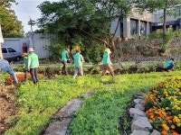 오라동주민센터·부녀회 해바라기 식재