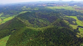 [제주 핫플레이스] (49)제주거문오름 용암길·태극길