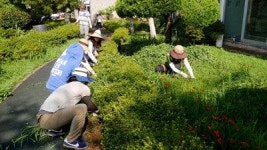 누리보듬봉사회 제주평화양로원 봉사