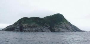 쥐떼 습격에 몸살 앓는 제주 사수도