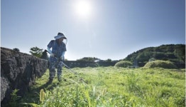 조상의 음덕을 기리며… 벌초  시작