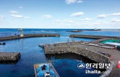 특색없는 제주 어촌뉴딜300 그 나물에 그 밥