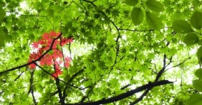 [휴플러스] 가을문턱에 '쉼'을 더하다. 나들이로 일상에 활력을