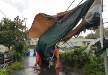 600㎜ 물폭탄… 제주 태풍 타파 피해 눈덩이