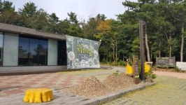 서귀포 치유의 숲에 버스노선 생기나