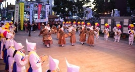 탐라문화제 서귀포시 축제의 날