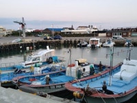 [제주바다와 문학] (25)문영종 시 늙은 배의 꿈