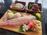 제주광어 숙성회로 색다르게 맛보자