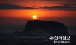 날마다 해 솟는 성산서 새해 맞아요