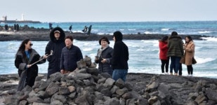 [제주바다와 문학] (35)이용상 시조 ‘동백’