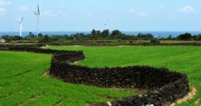 [세계농업유산, 밭담을 잇는다] 돌을 쌓는 사람들 (1) 프롤로그