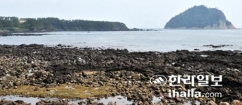 하수처리장 방류수 제주 연안어장 황폐화