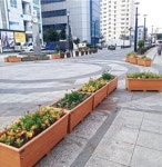 해짓골 일대 계절화 식재로 재단장